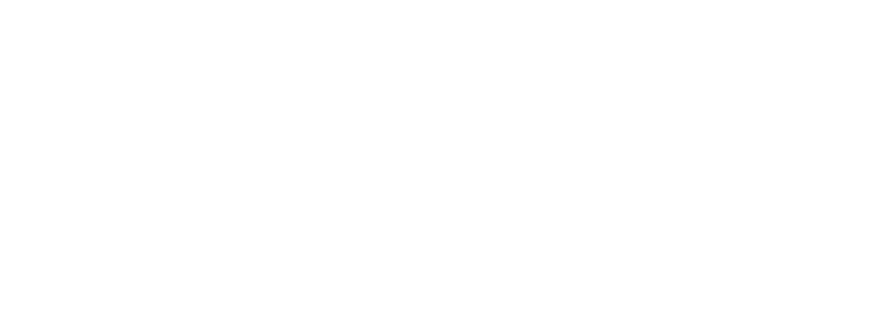 Studi